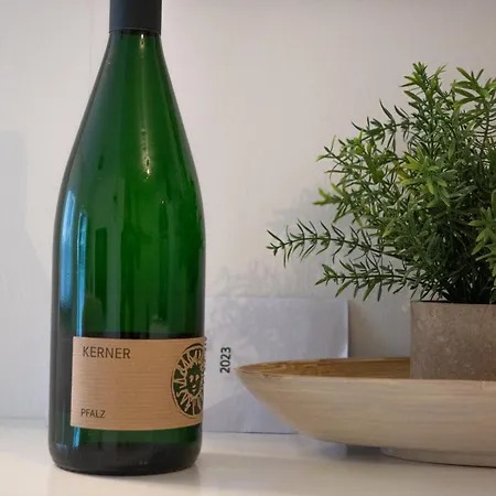 Διαμέρισμα Vinodino